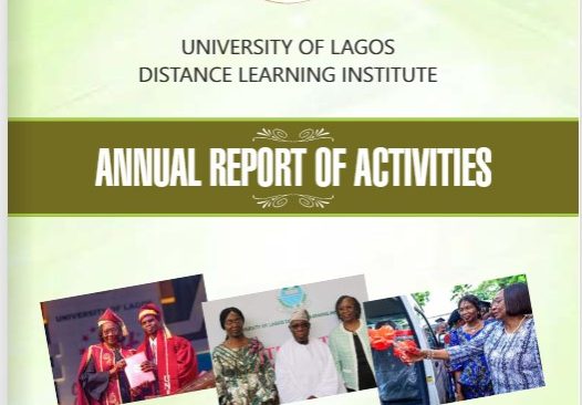 2024 DLI REPORT